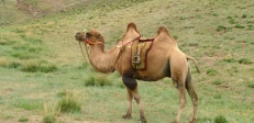 riding_tours2